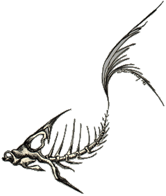 tatfish